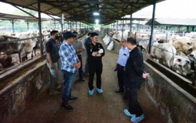 uploads/news/2023/04/stok-daging-sapi-jabodetabek-19676e8ecafc8ce_400.jpg