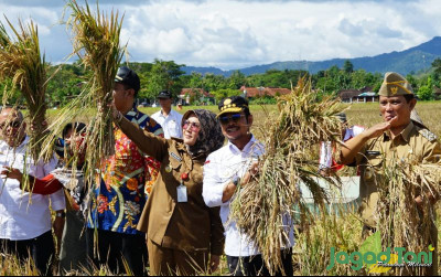 uploads/news/2023/04/wujudkan-petani-sejahtera-mentan-570785d5f28f5d4_400.jpg