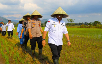 uploads/news/2023/05/percepatan-tanam-kunci-hadapi-25479097b0639b6_400.jpg