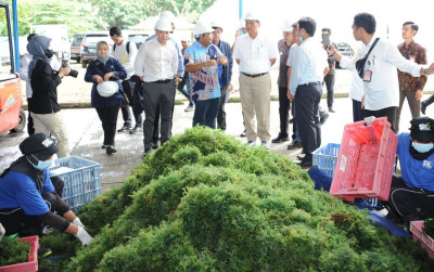 uploads/news/2023/05/sistem-hilirisasi-emas-hijau-377606726402bda_400.jpeg