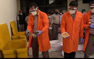 uploads/news/2023/05/virus-ikan-asal-jepang--507957e3d0c0de1_400.jpeg