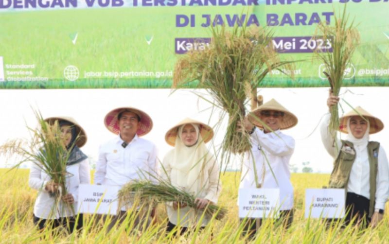 uploads/news/2023/05/wamentan-pimpin-panen-raya-14719100fd4ee0d.jpg