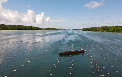 uploads/news/2023/06/hilirisasi-budidaya-rumput-laut-75743e44b866c75_400.jpeg
