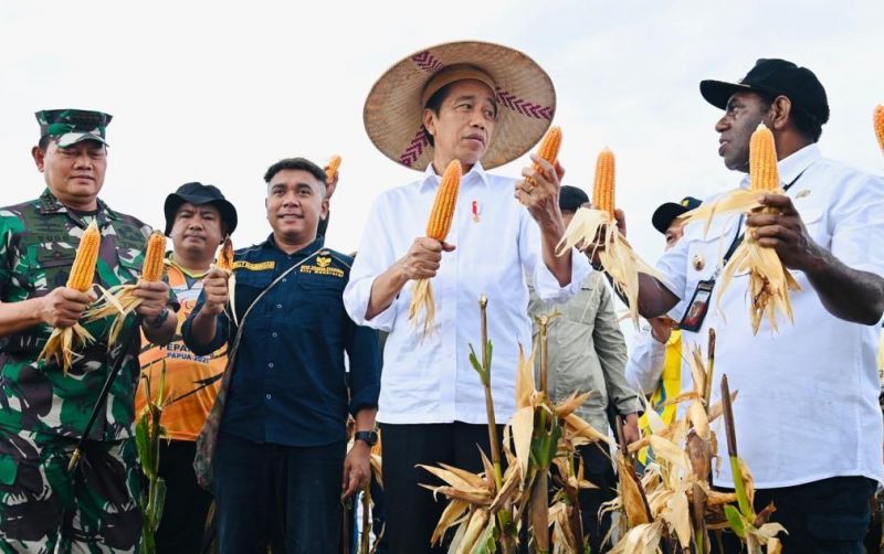 uploads/news/2023/07/jokowi-pastikan-jagung-papua-258263ebddba1ab.jpeg