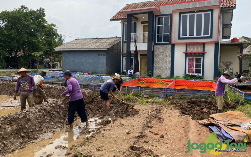 uploads/news/2023/07/ppk-ormawa-himakua-ipb-sulap-kolam-20144c7b344dda6.jpeg