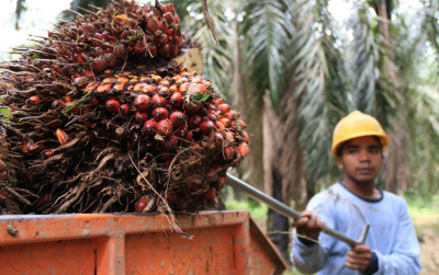 uploads/news/2023/07/sumsel-jadi-percontohan-pengembangan-40930857035eaca_400.jpg