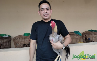 uploads/news/2023/07/wnd-farm-fokus-menyediakan-968591229a640da_400.jpg