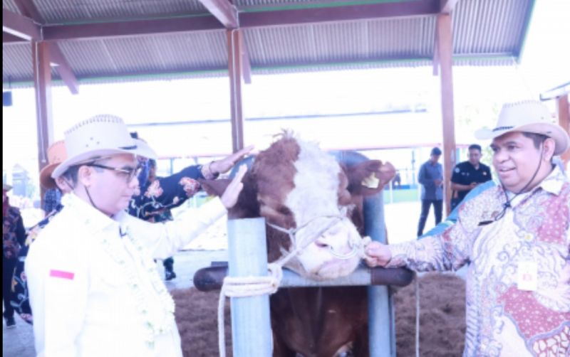 uploads/news/2023/08/bbib-singosari-hasilkan-semen-86017fdcb3de058.jpg