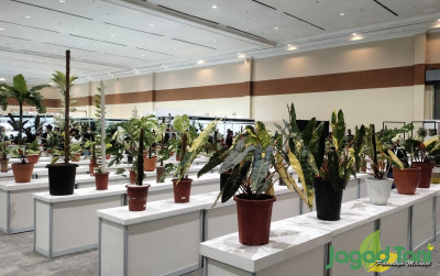 uploads/news/2023/08/floii-expo-2023-usung-122828230e2fccb_400.jpg