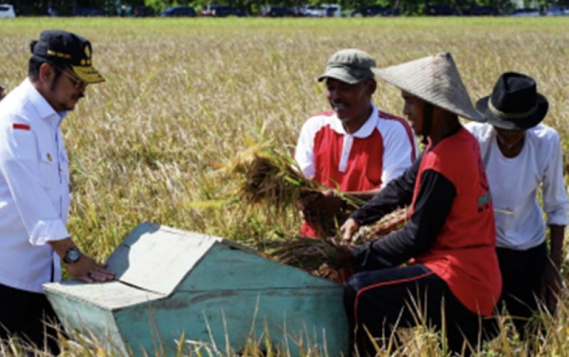 uploads/news/2023/08/hadapi-el-nino-pendataan-98444b0f5d949af.jpg