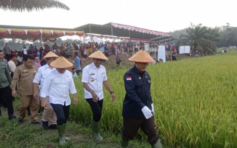 uploads/news/2023/08/jelang-el-nino-sarana-37644e632c45a00.jpg