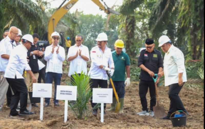 uploads/news/2023/08/program-akselerasi-kelapa-sawit-71917bd89f482bd.jpg
