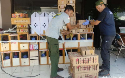 uploads/news/2023/08/ratusan-burung-kicau-disita-569014c11c35c32_400.jpg