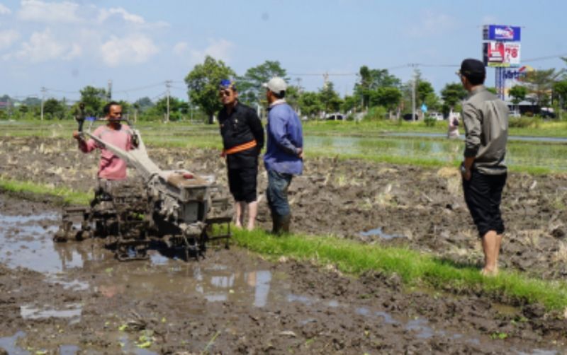 uploads/news/2023/09/empat-komoditas-naikan-nilai-76222691fbbdba7.jpg