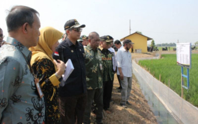 uploads/news/2023/09/hadapi-elnino-wamentan-tinjau-535021eb5f22391_400.jpg