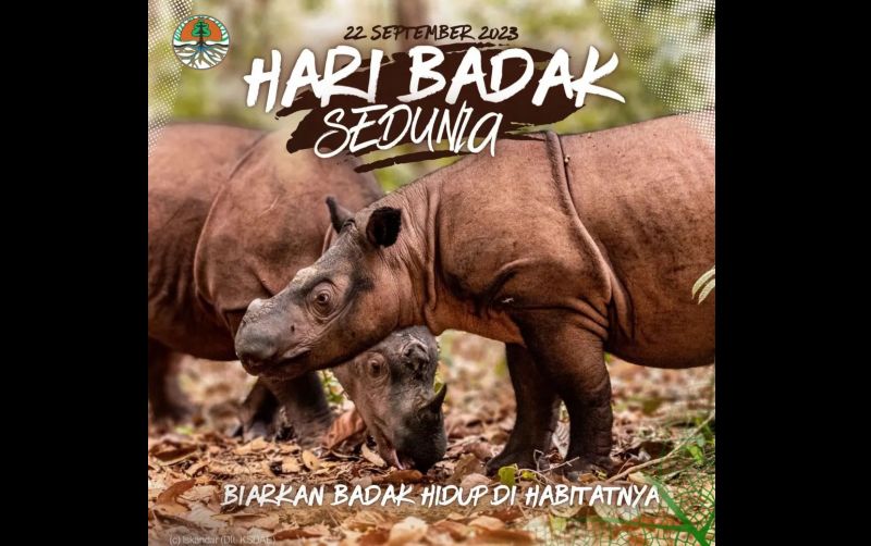 uploads/news/2023/09/hari-badak-sedunia-biarkan-83294a4e14a1e95.jpg