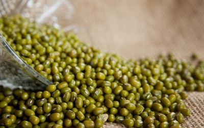 uploads/news/2023/09/kacang-ijo-komoditas-unggulan-20951f8b3638065_400.jpg
