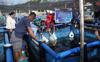 uploads/news/2023/09/kkp-dampingi-pelatihan-pembudidaya-1162378761bfdb8_400.jpeg