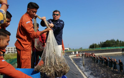 uploads/news/2023/09/taruna-kkp-bali-hasilkan-37378f61e01548a_400.jpeg