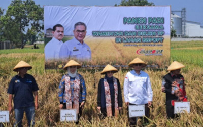 uploads/news/2023/09/wamentan-panen-padi-hingga-134580b11008fd6_400.jpg