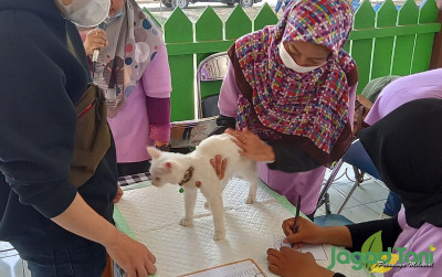 uploads/news/2023/10/dkpp-klaten-gencarkan-vaksinasu-93043c0859b5aa6_400.jpg