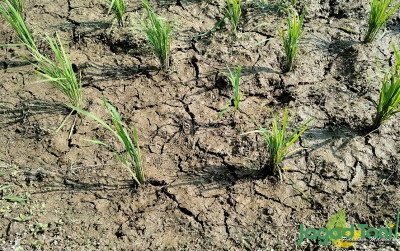 uploads/news/2023/10/el-nino-intai-masa-978458a0d8b061d_400.jpg