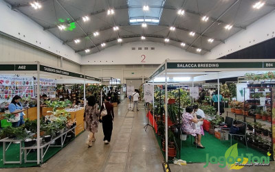 uploads/news/2023/10/empat-hari-diadakan-floii-71428bcd54065c7_400.jpg