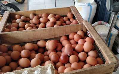 uploads/news/2023/10/harga-telur-turun-bikin-508314452e76445_400.jpg
