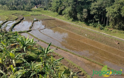 uploads/news/2023/10/jelang-musim-tanam-pupuk-25544ddf33b195e_400.jpg