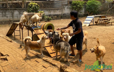 uploads/news/2023/10/mengintip-kebahagian-hewan-di-22808ddeb088b5c_400.jpg