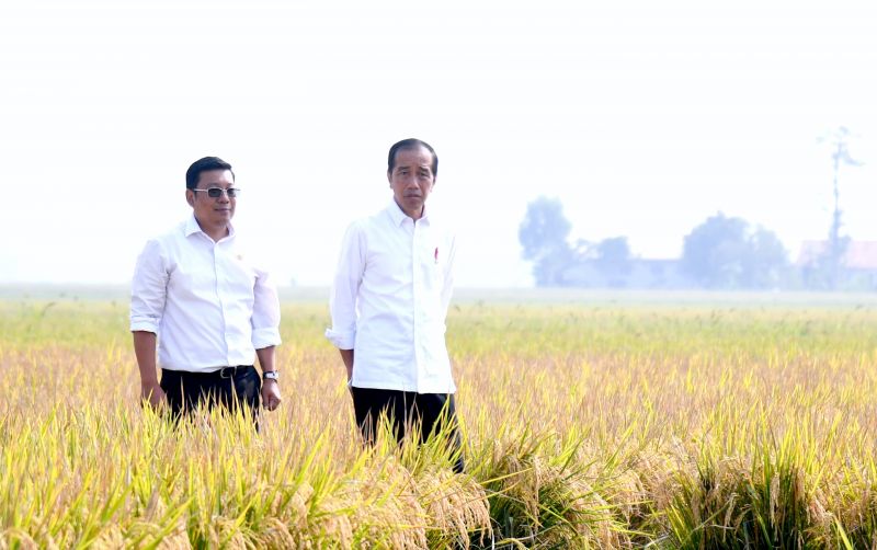 uploads/news/2023/10/panen-raya-subang-jadi-353998c6564278a.jpeg