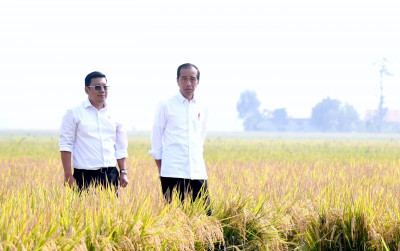 uploads/news/2023/10/panen-raya-subang-jadi-353998c6564278a_400.jpeg