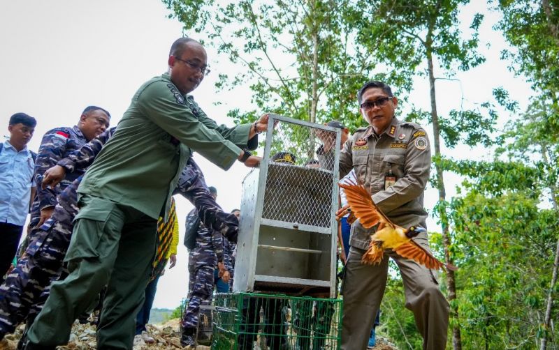 uploads/news/2023/10/pelepasan-satwa-liar-papua-4599799e19a1998.jpg