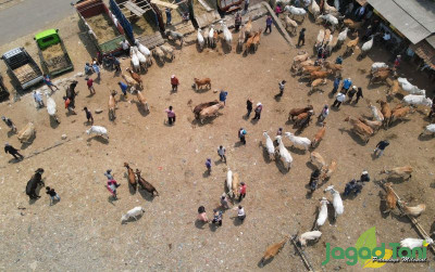 uploads/news/2023/10/penjualan-sapi-menurun-di-71293931141cae8_400.jpg