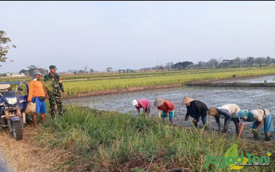 uploads/news/2023/10/percepat-masa-tanam-tni-848601b1442fd2a_400.jpg