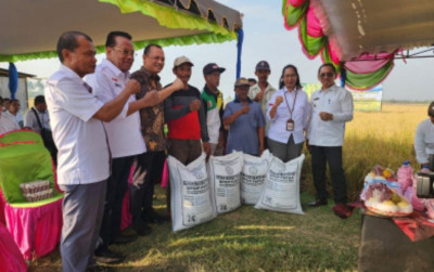 uploads/news/2023/10/petani-merauke-sukses-panen-63644949e809612_400.jpg