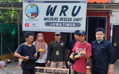 uploads/news/2023/11/86-burung-endemik-sulawesi-52012265f243c67_400.jpg