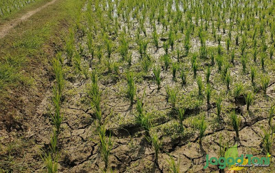 uploads/news/2023/11/bmkg-dampak-lanjutan-el-398402c96588f10_400.jpg