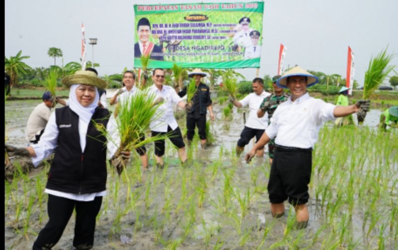 uploads/news/2023/11/genjot-produktivitas-beras-dengan-39547b46f0d0a35.jpg