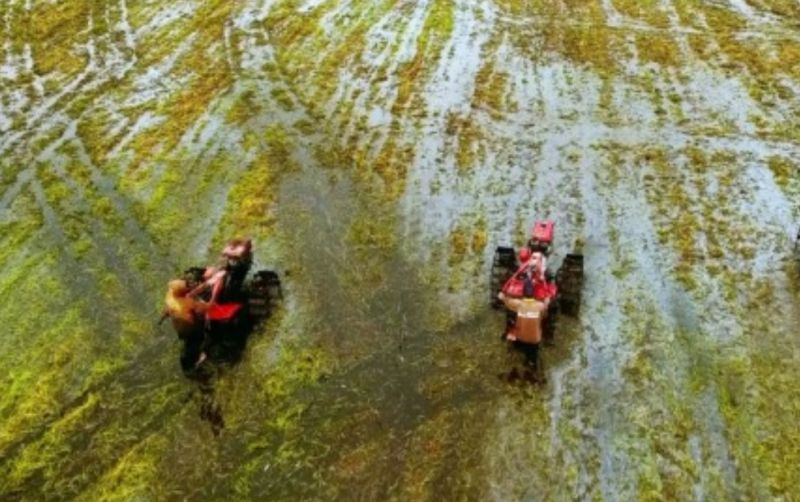 uploads/news/2023/11/kementan-ubah-10juta-hektar-97575109c17af6e.jpg