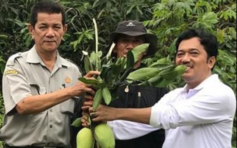 uploads/news/2023/11/mengenal-buah-mangga-andalan-795826611b350be.jpeg