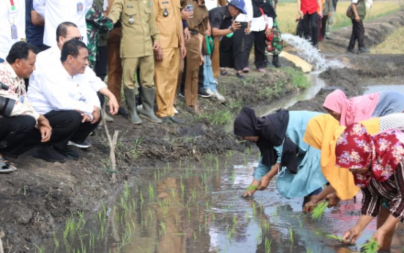 uploads/news/2023/11/optimasi-lahan-rawa-tanam-7880142dffacfec.jpg
