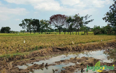 uploads/news/2023/11/peran-akademisi-dalam-percepatan-875234e4674f257_400.jpg