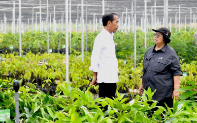 uploads/news/2023/11/persemaian-mentawir-pusat-bibit-72741a32ea232ec_400.jpeg