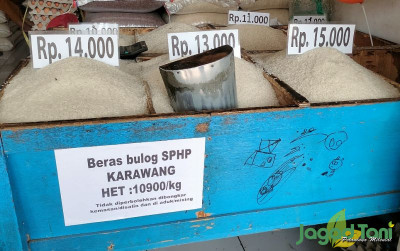 uploads/news/2023/11/stok-beras-aman-harga-925163f3fe9874a_400.jpg
