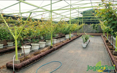 uploads/news/2023/11/taman-langit-grape-belajar-62599d4cf76af3b_400.jpg