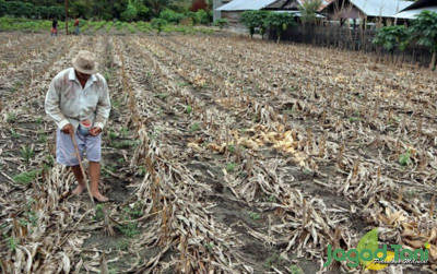 uploads/news/2023/11/tanggulangi-dampak-elnino-terhadap-82512baa74f7e49_400.jpg