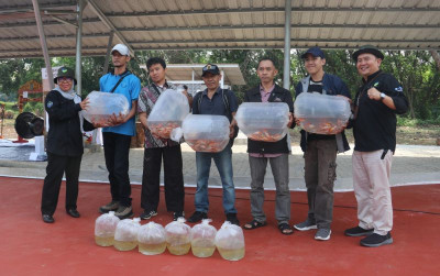 uploads/news/2023/12/budidaya-ikan-hias-dan-16578f5bdebc4c2_400.jpeg