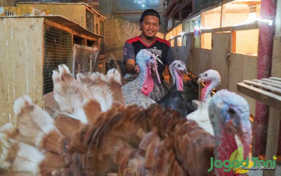 uploads/news/2023/12/clemira-unggas-peternakan-ayam-524739915561918_400.jpg