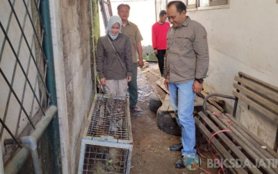 uploads/news/2023/12/dua-monyet-terindikasi-rabies--529582906927d29_400.jpg